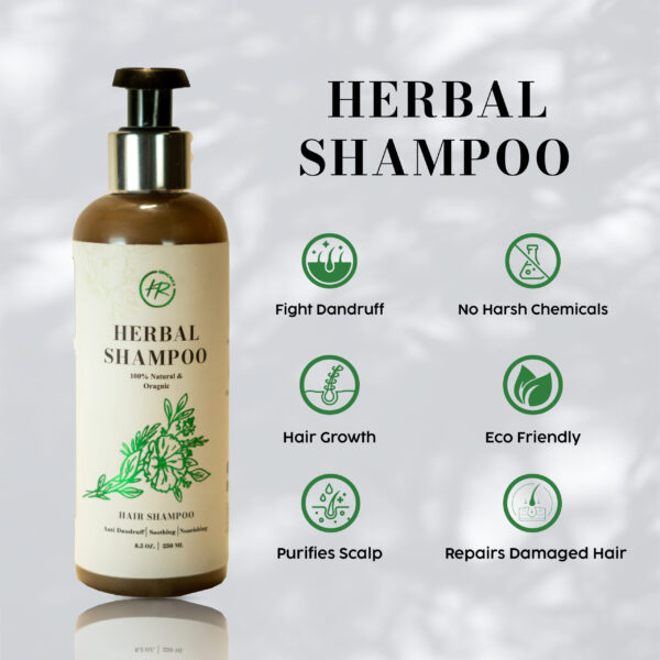 Natural Shampoo - Complete Hair Solution - Image 2